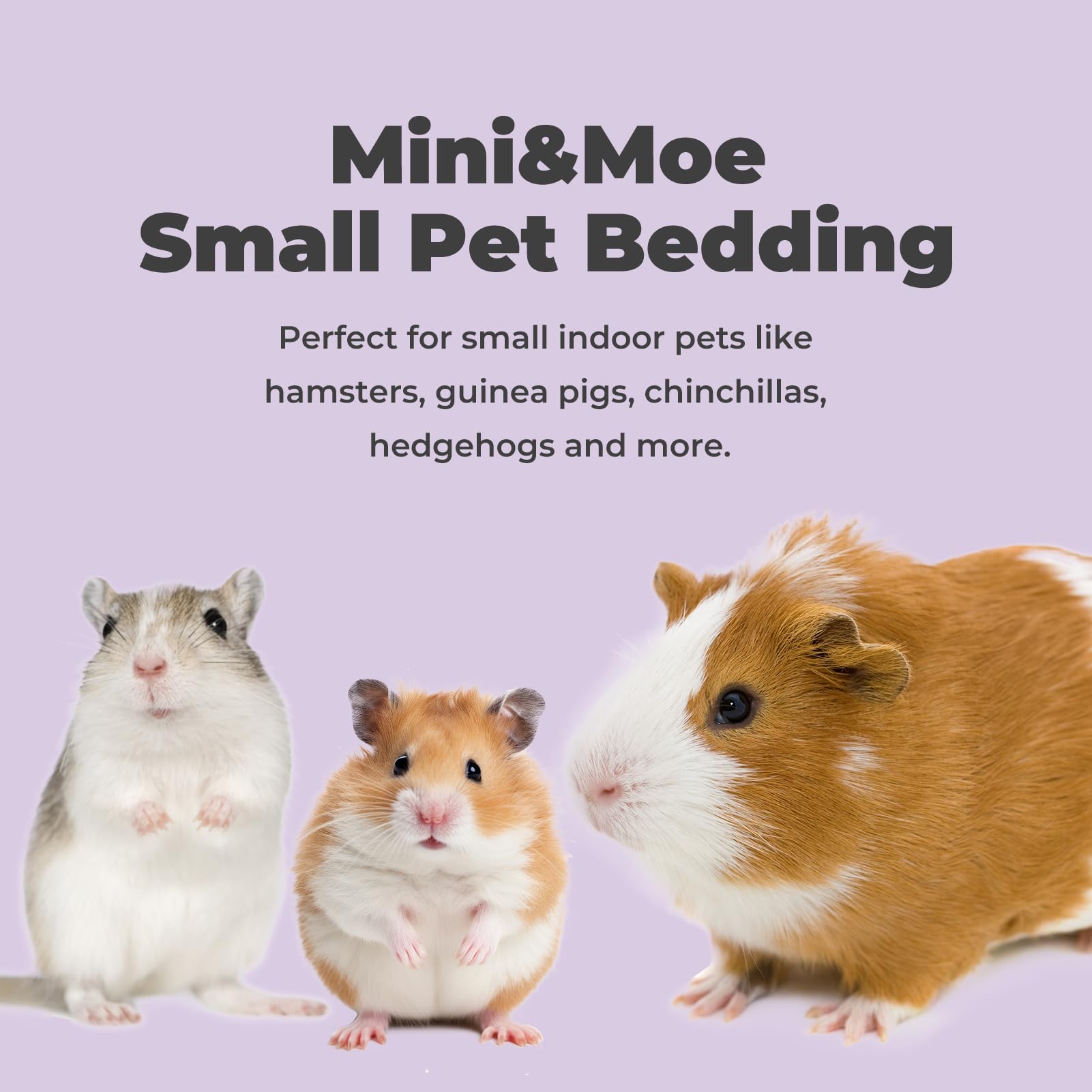 mini&moe hamster bedding 12-liter-pack for easy bulk refresh