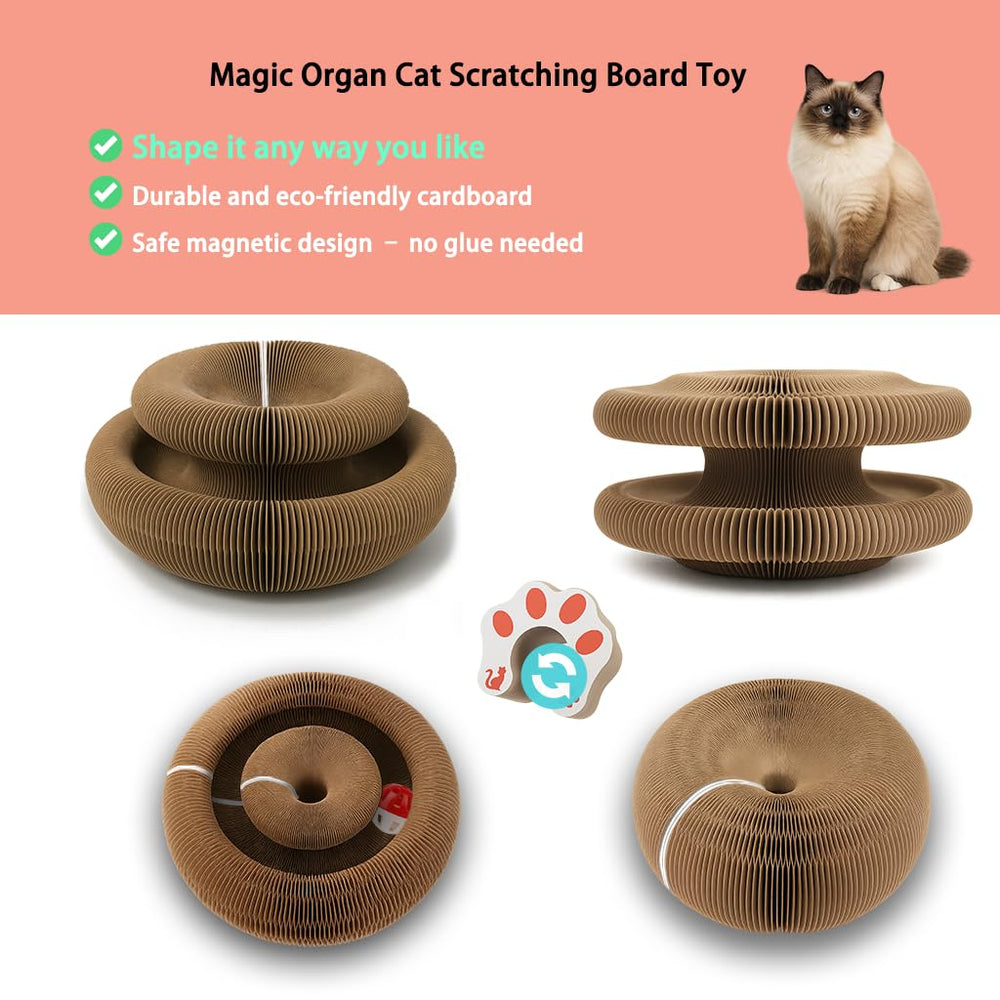 Minlend Magic Organ Scratcher Easy Storage keeps a tidy, space-saving toy ready.
