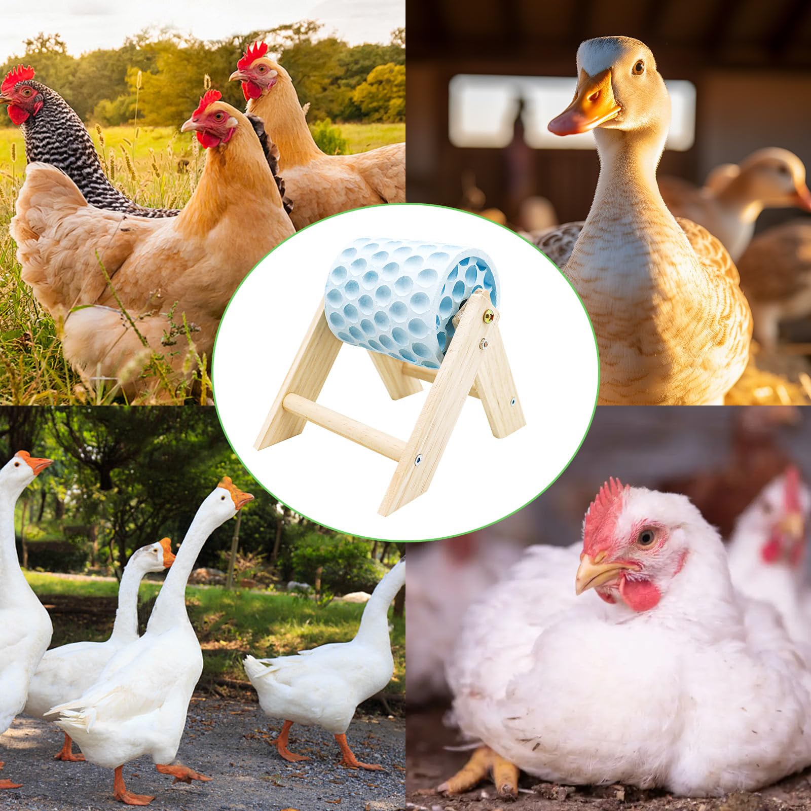 MinrzPet beak care toy encourages playful interaction that can help reduce boredom in poultry.