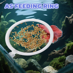 MinrzPet beta fish enrichment set shown together in a compact tank.