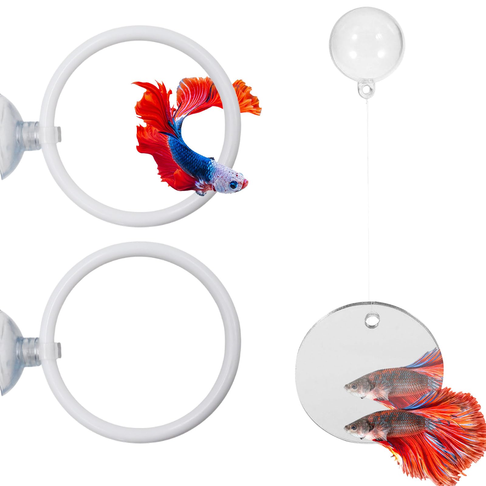MinrzPet beta fish mirror with floating ball enhances curiosity and enrichment in tanks.
