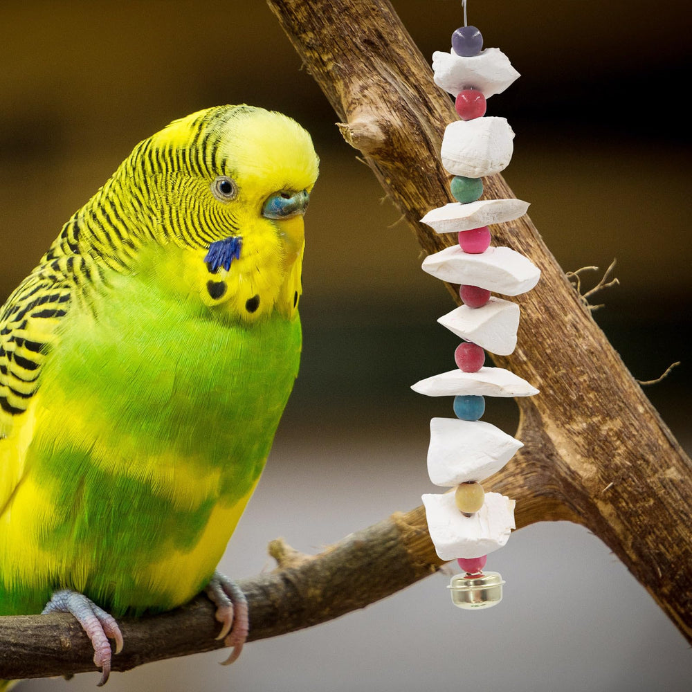 MinrzPet cage accessories bird toy adds enrichment and safe chewing.