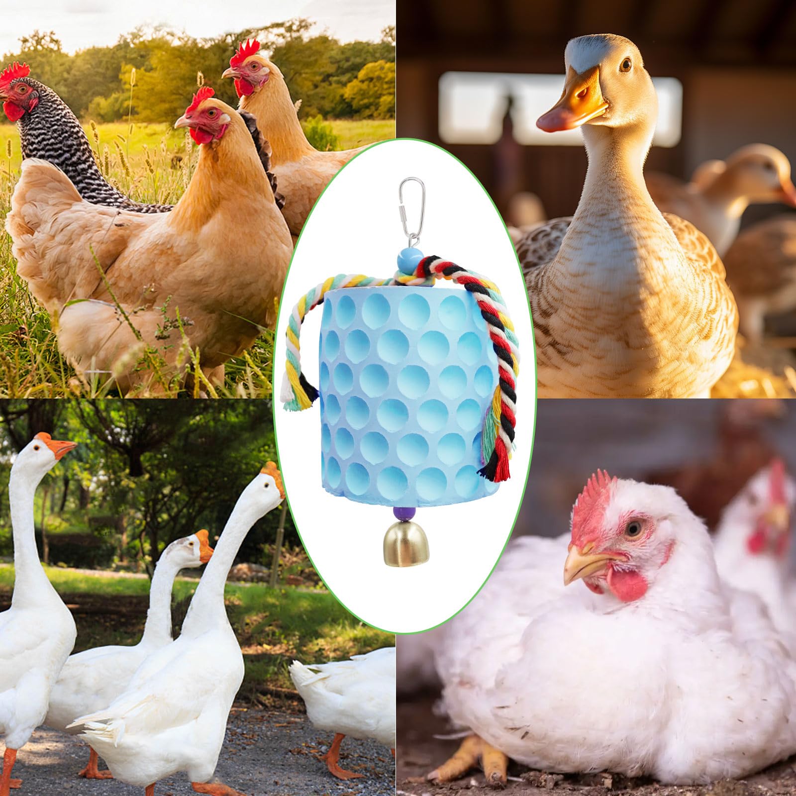 MinrzPet enrichment toy keeps hens ducks geese active and content.