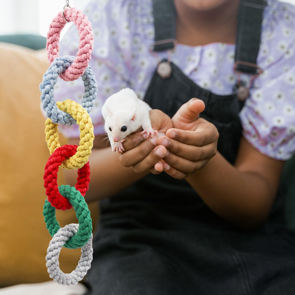 MinrzPet durable cotton rope ensures safe daily play for little climbers.