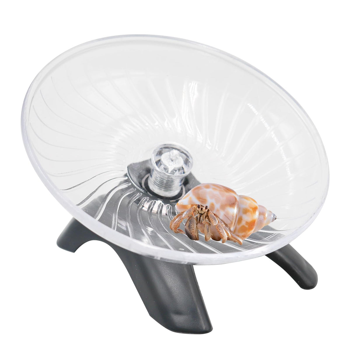 MinrzPet hermit crab climbing toys promote natural climbing and exercise in small tanks.