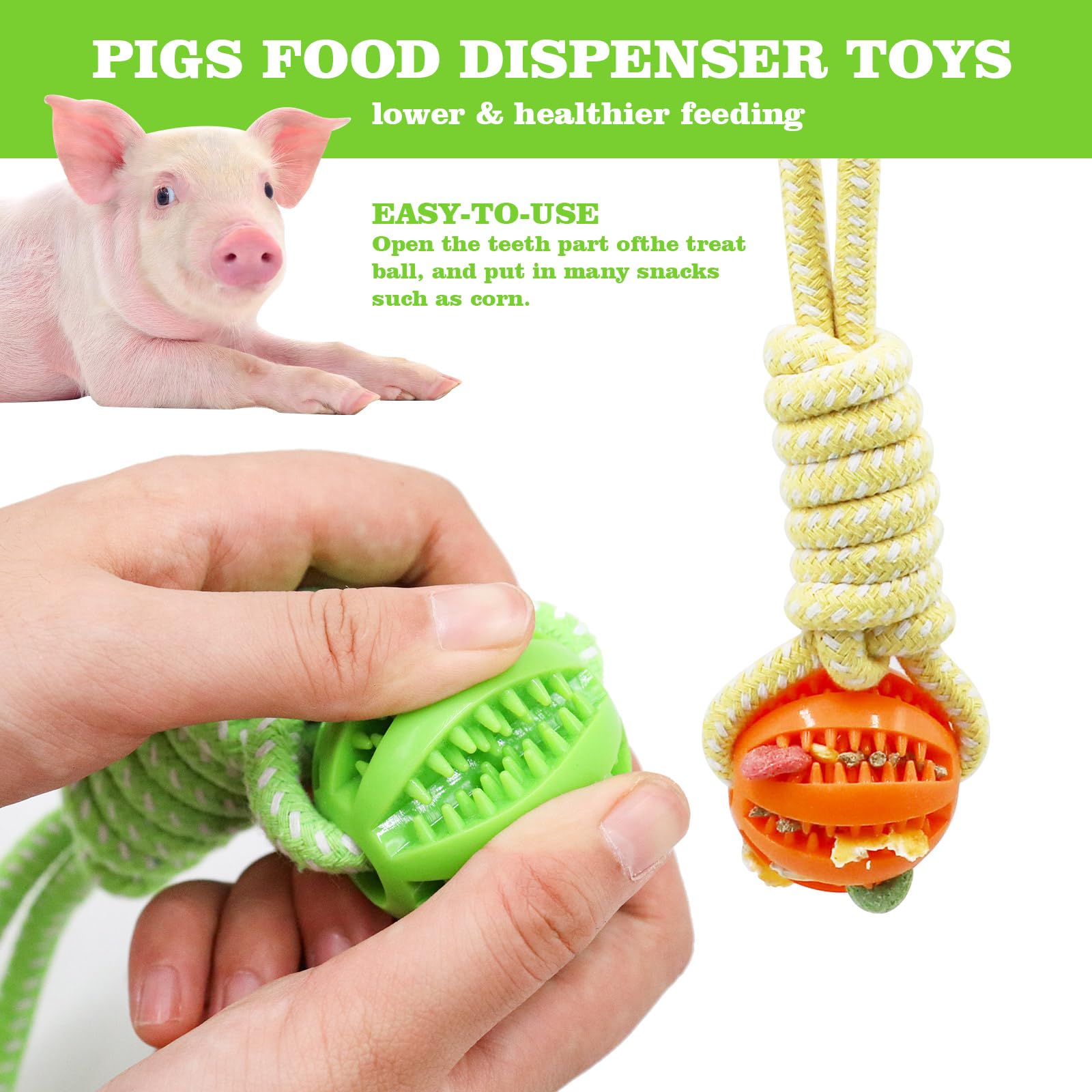 MinrzPet mini pig foraging ball enhances enrichment during snack time.