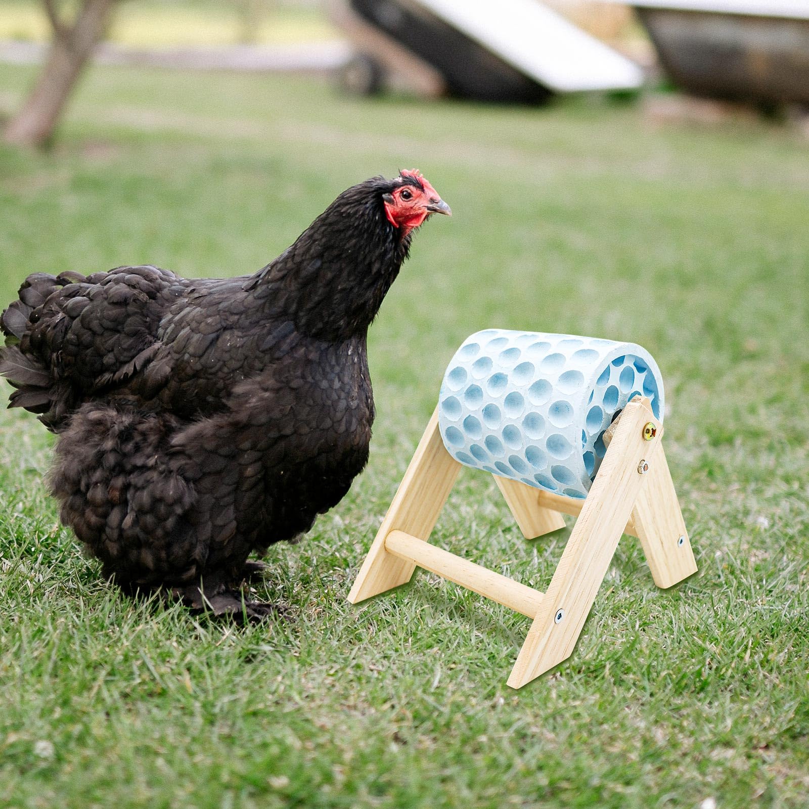 MinrzPet safe calcium stone material offers a non-toxic option for bird maintenance routines.