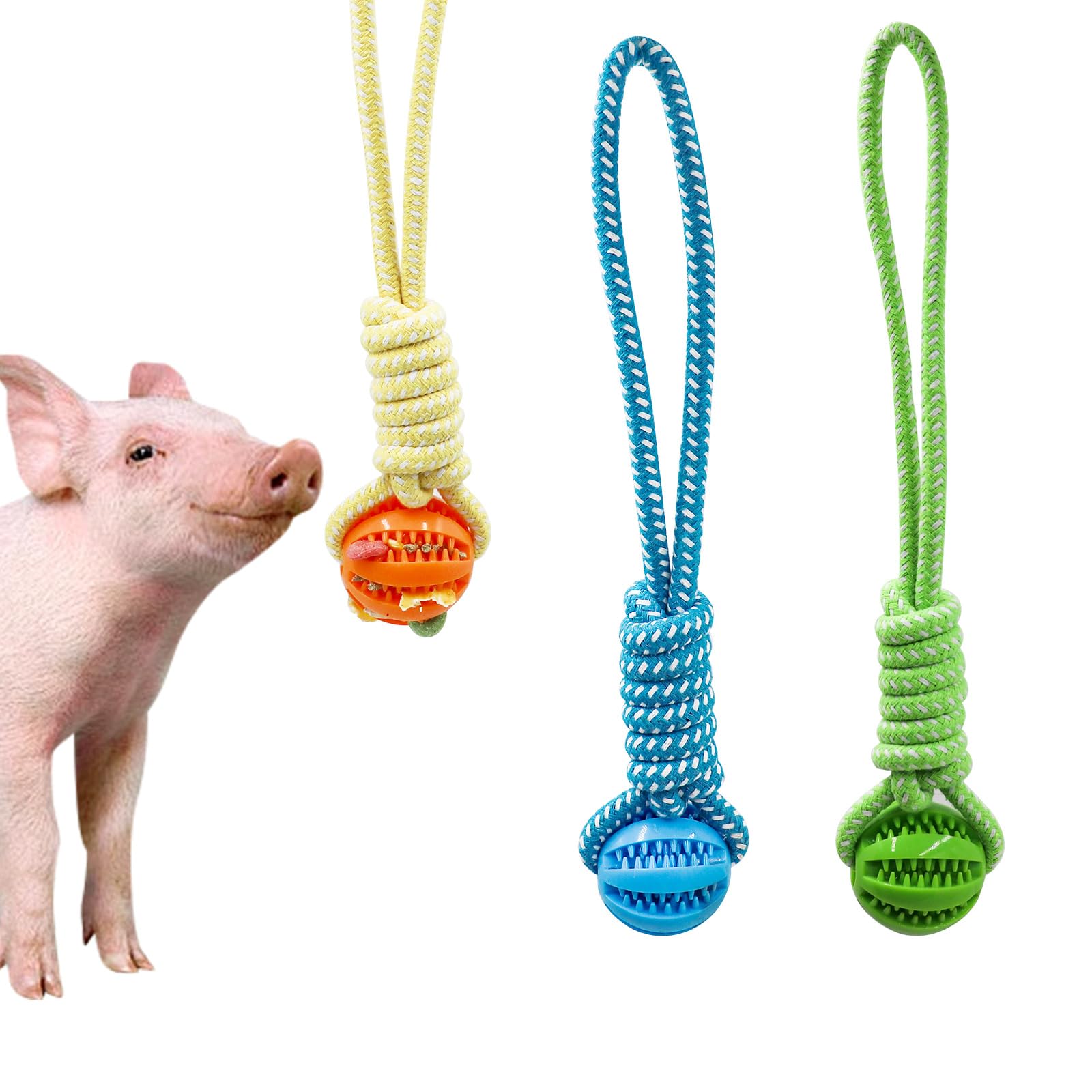 MinrzPet treat-dispensing ball with rope for pigs, ideal for interactive play.