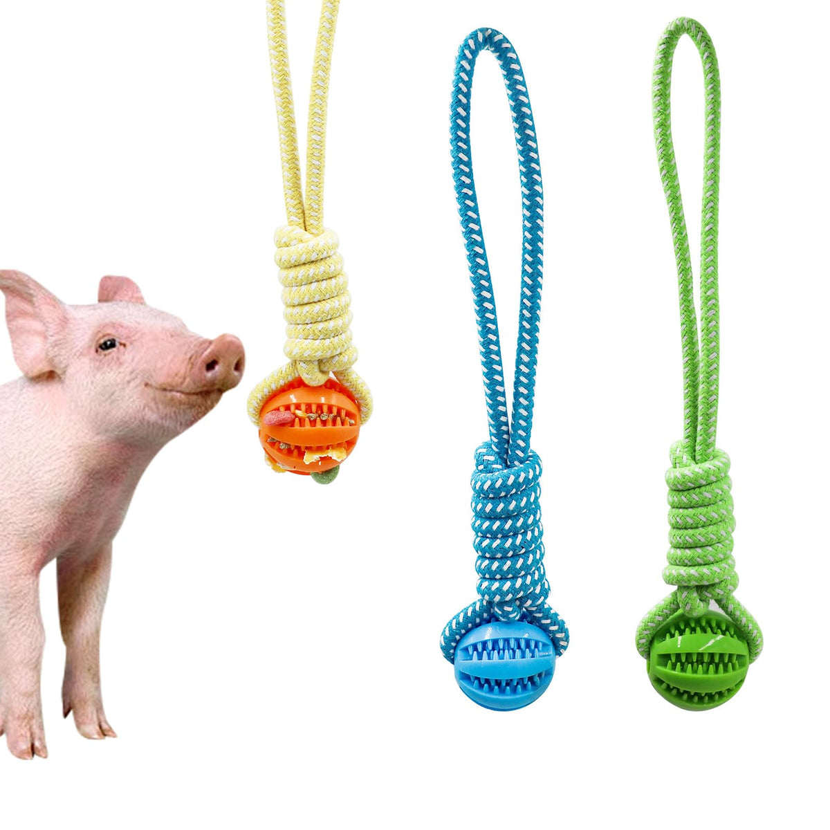 MinrzPet treat-dispensing ball with rope for pigs, ideal for interactive play.