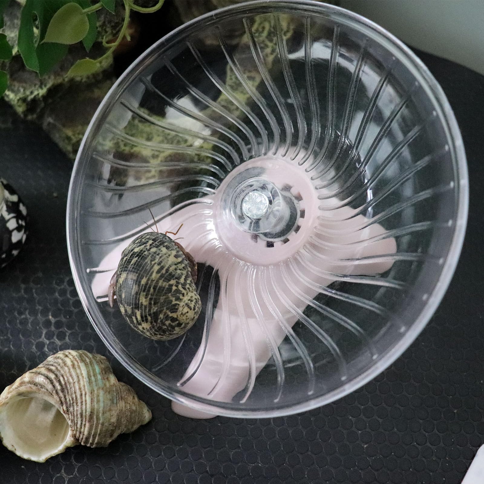 MinrzPet-wide-use-tank-setup fits multiple small pets across different enclosure styles.