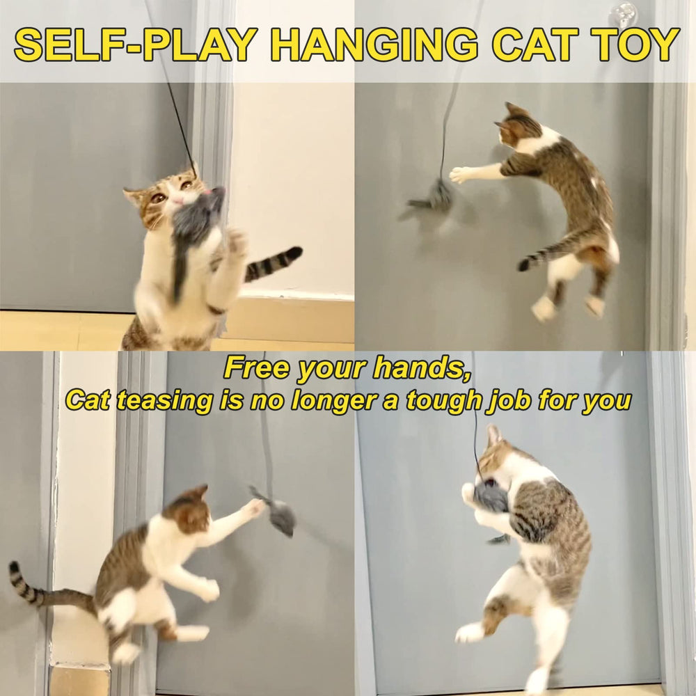 MintCat indoor-cat-play-setup enables solo play and exercise.
