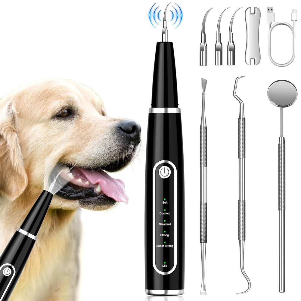MIONJO Dog Tartar Remover front view showing compact, easy-use design for gentle tartar removal.