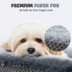 Miorun dog bed easy-entry low-cut entrance for smooth hops