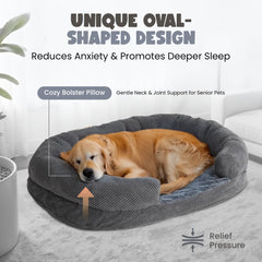 Miorun low-cut entrance dog bed enables easy access for dogs
