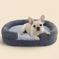 Miorun Soft Donut Bed with egg crate foam provides plush support for small dogs.