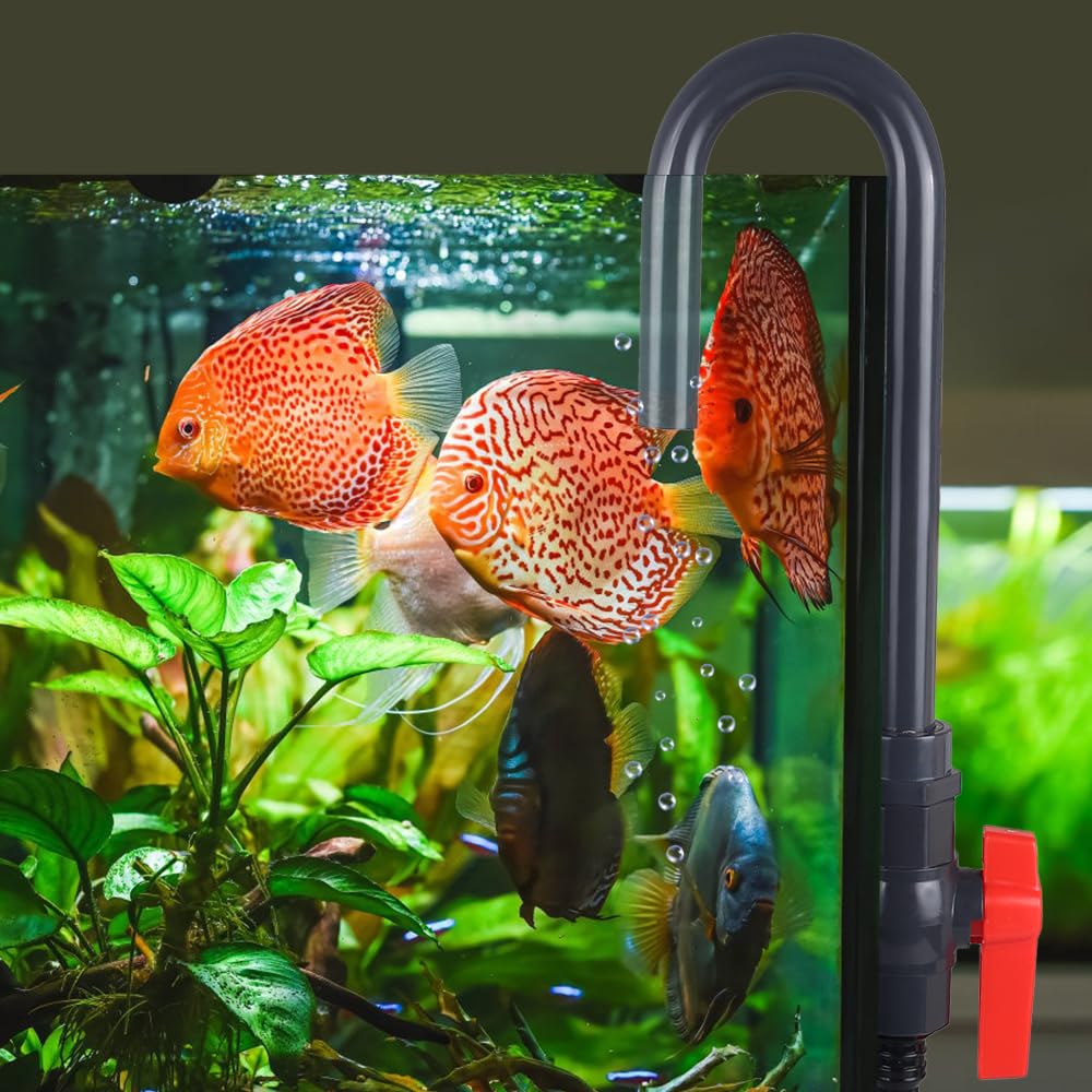 MiOYOOW color-variation note matches varied aquarium aesthetics.