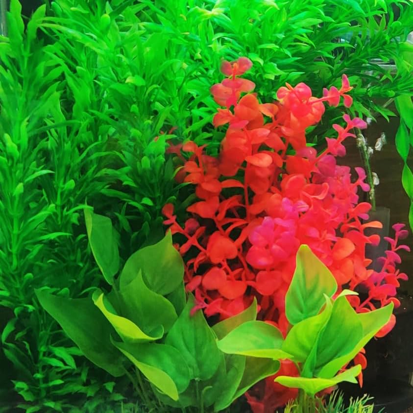 Mipukbay red aquarium plants tank decor setup for creative layouts