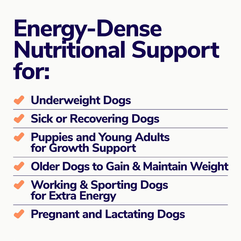 Miracle Vet dog chews in action providing extra energy during play.