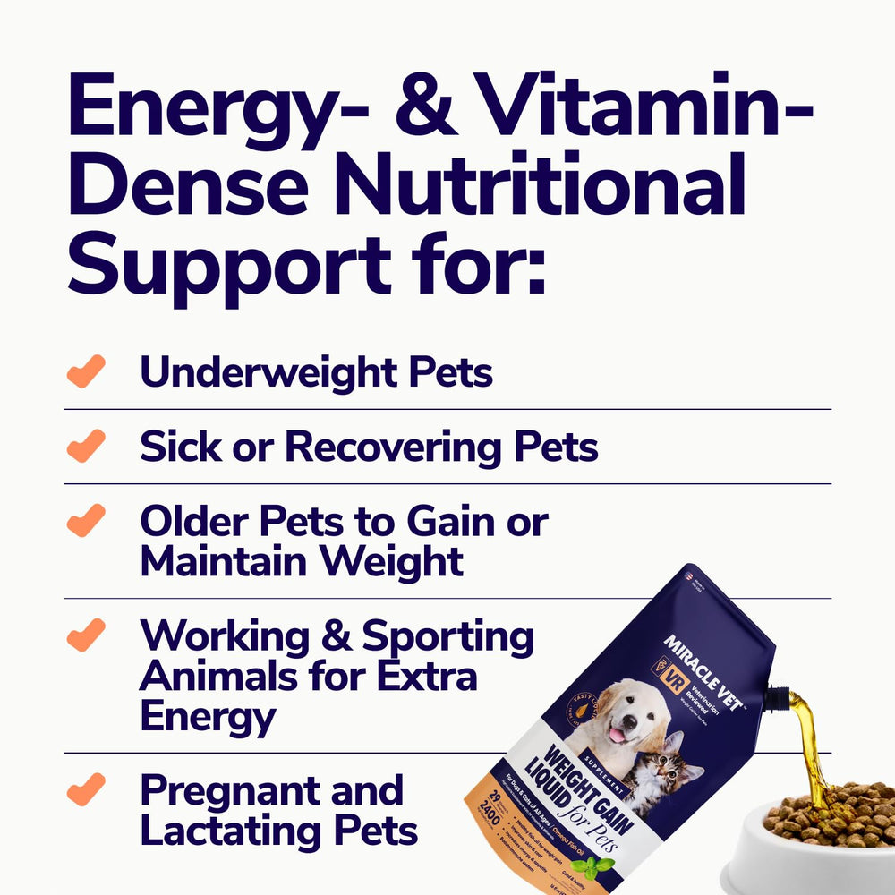 Miracle Vet weight gainer cat meal topping demonstrates easy daily supplementation