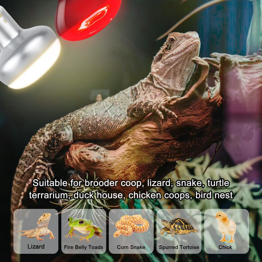 MISDOOD E26 base lamp fits most fixtures for easy installation.