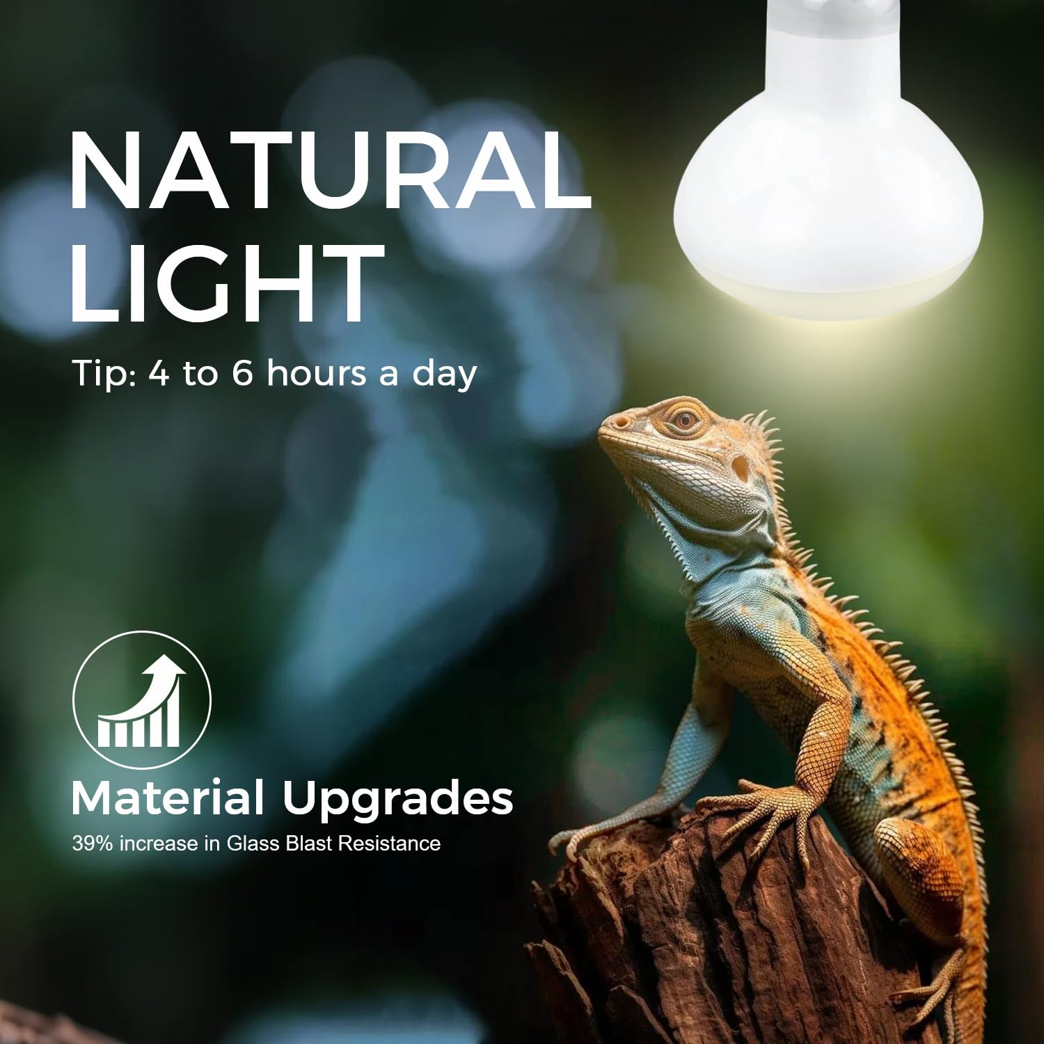 MISDOOD Reptile Heat Lamp 50W bulbs in use warming a basking spot