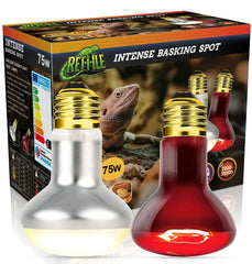 MISDOOD reptile heat lamp 75W basking spot glow supports focused basking sessions.