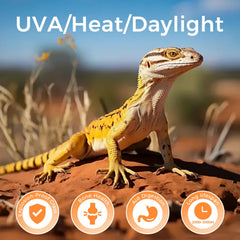 MISDOOD Reptile Heat Lamp with E26 base installed for easy compatibility and heat delivery