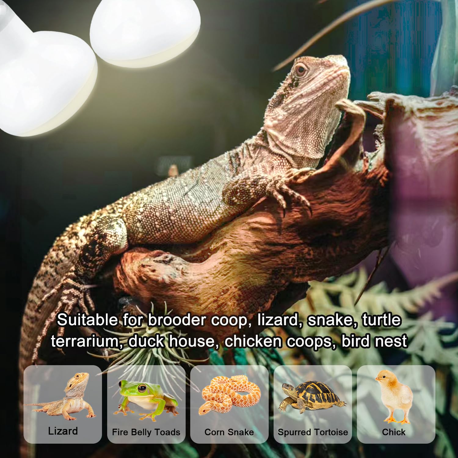 MISDOOD Reptile Heat Lamp explosion-proof glass for safer hobbyist use