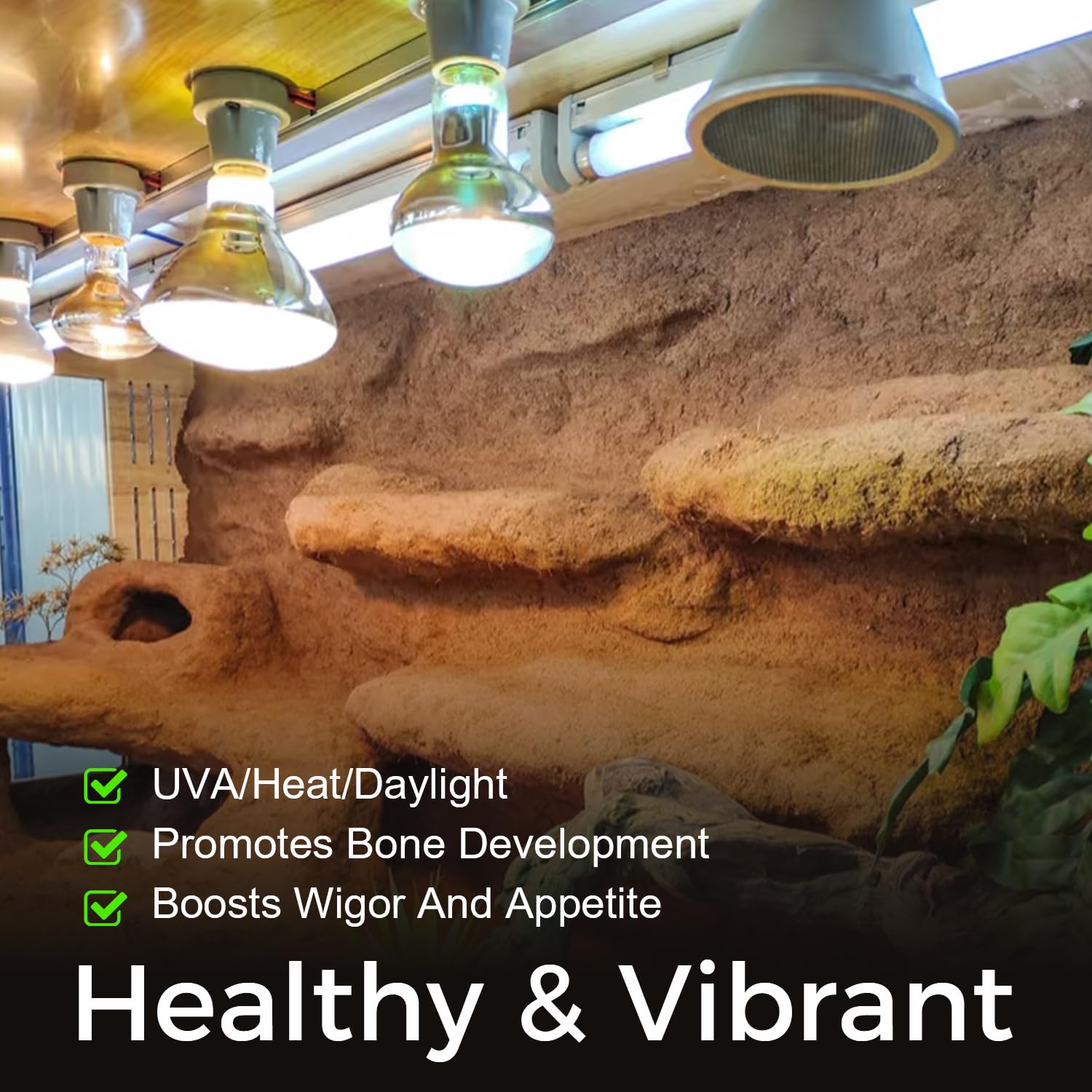MISDOOD two-lamps pack supports both infrared warmth and UVA daylight.