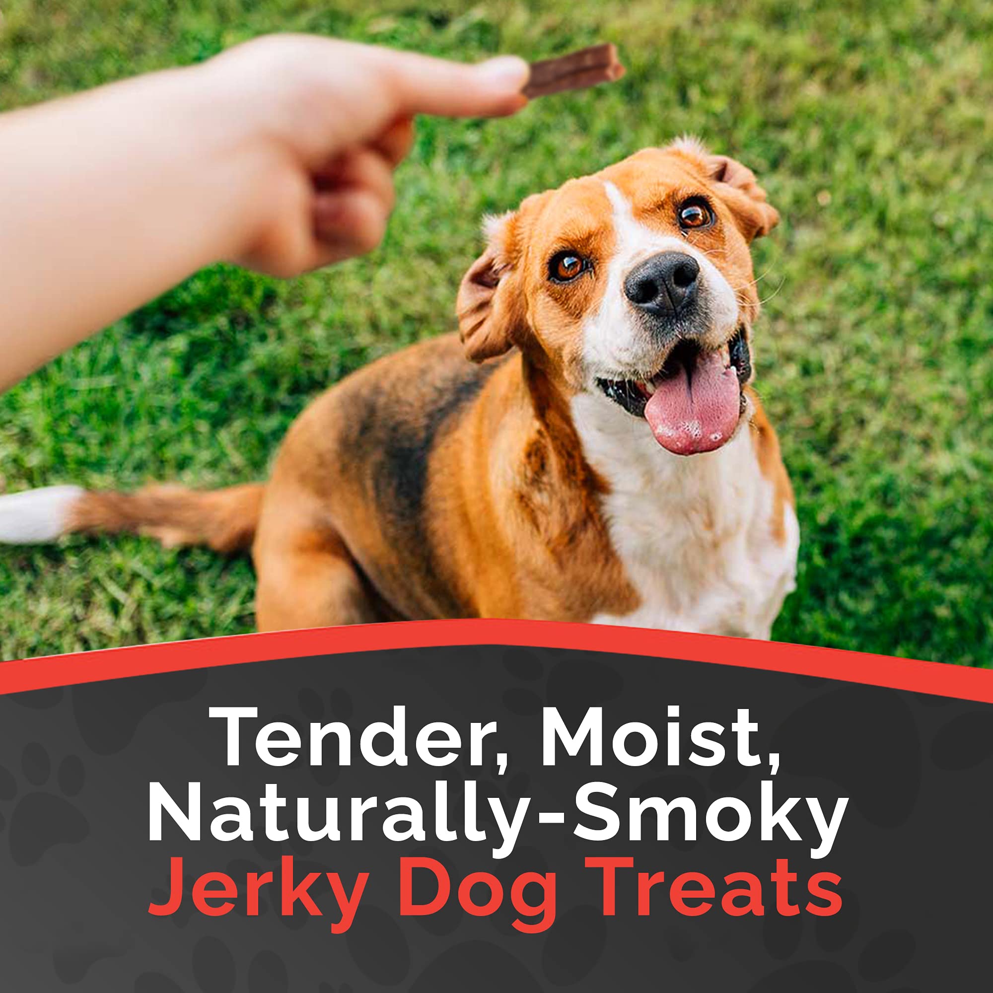 Miss Nelly's beef jerky training rewards bite-sized sticks perfect for training rewards.