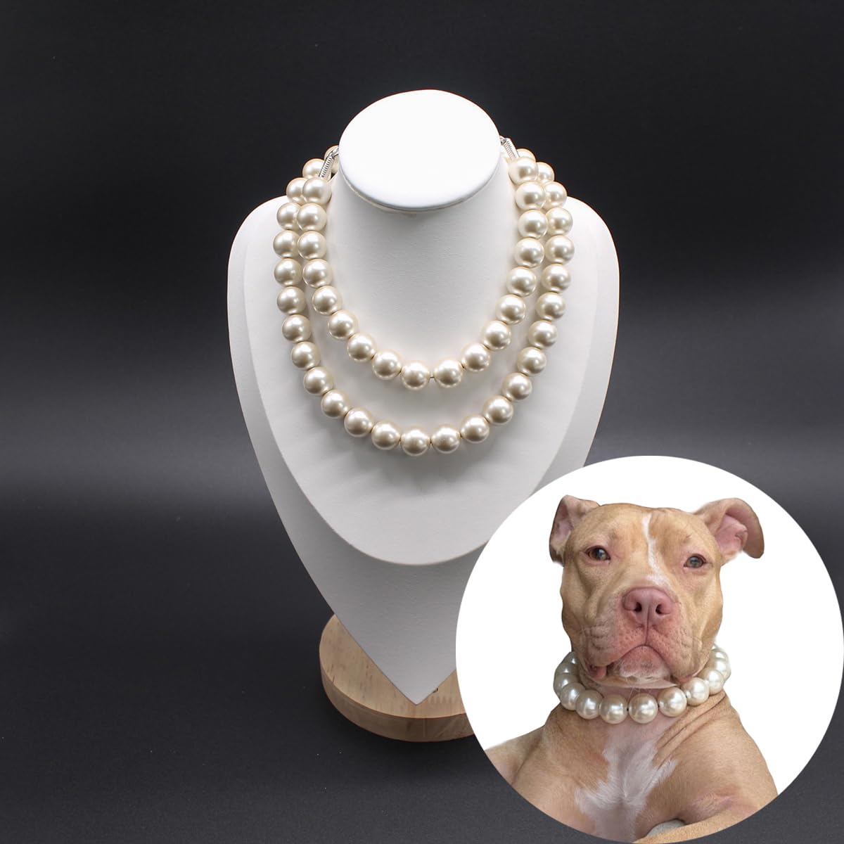 MISS PET pearl collar during play, pearls stay secure