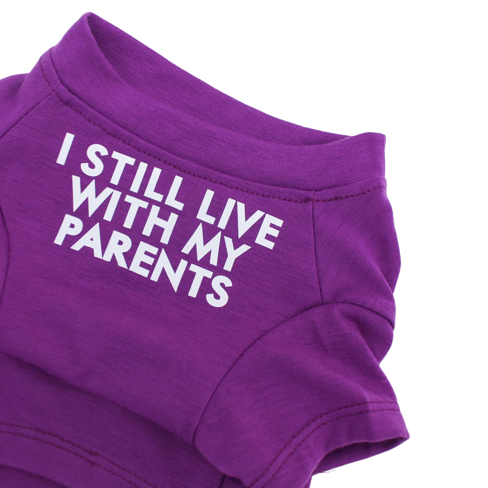 MISS PET French Bulldog shirt measurement reference chest 36cm back 23cm