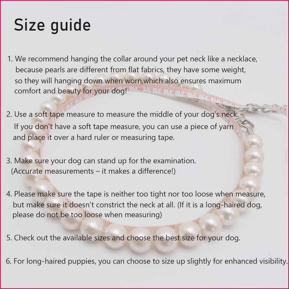 MISS PET large-breed style shines for everyday and special occasions.