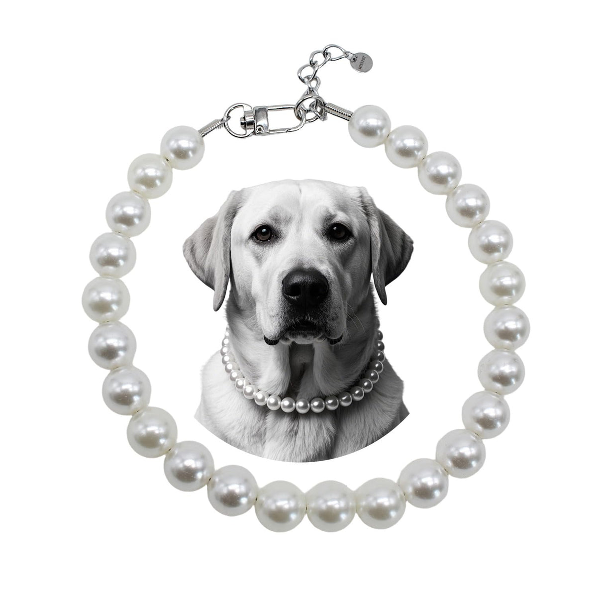 MISS PET pearl collar with steel wire rope for durable, stylish large dogs.
