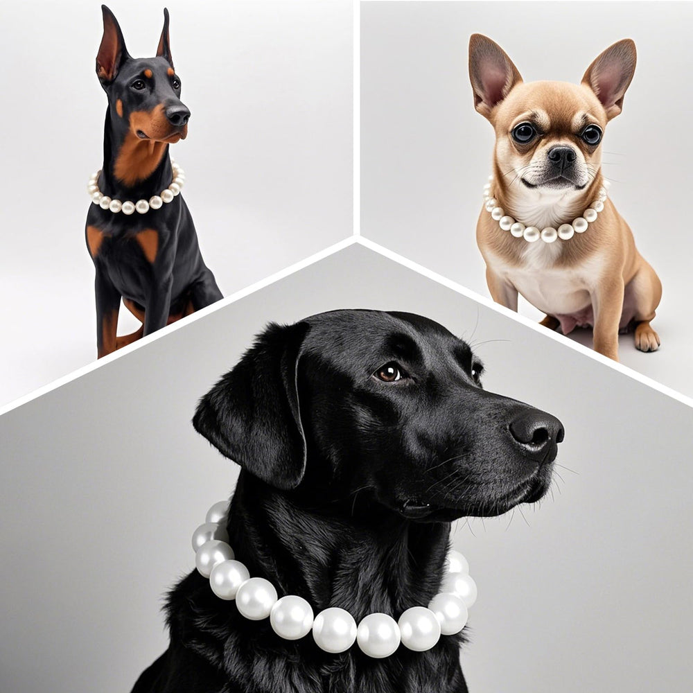 MISS PET pearl collar styled as a wedding accessory for photogenic dogs.