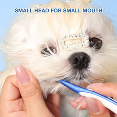 MISSELF small-breed brush set with tiny heads enables gentle in-mouth cleaning for sensitive mouths.