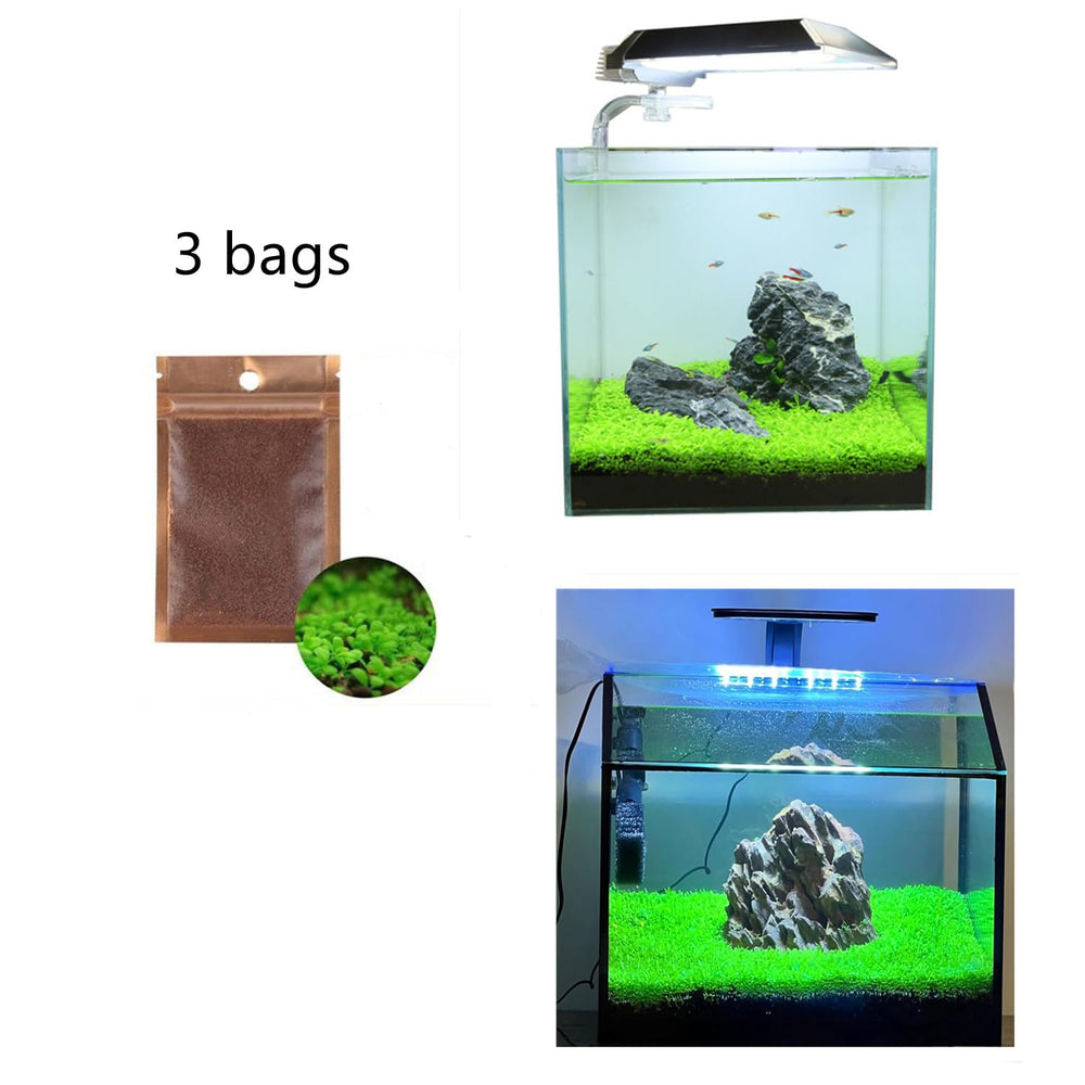 MISUHALOU aquarium grass plant aesthetic boost showing enhanced aquascape visuals.