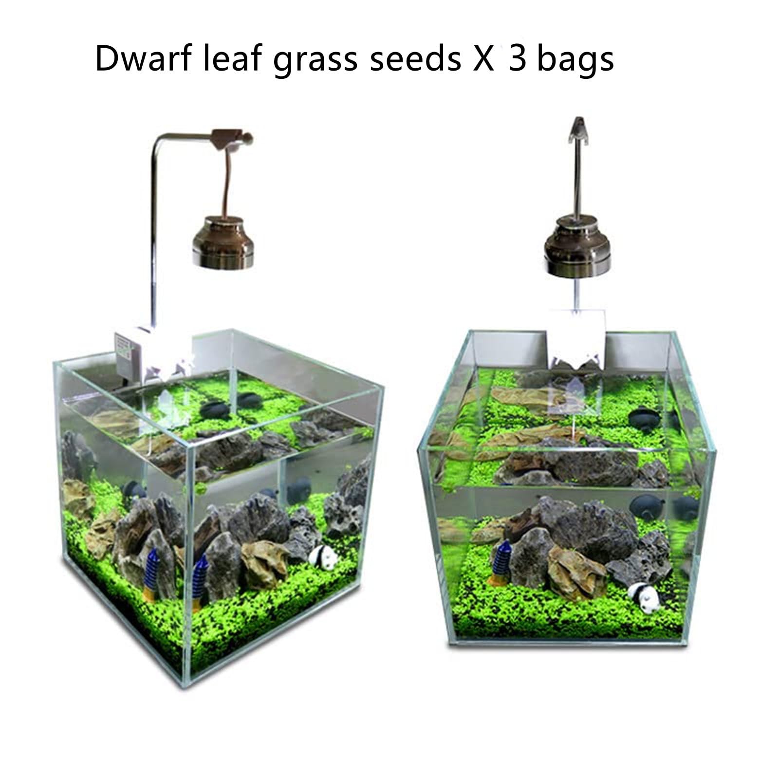 MISUHALOU aquarium grass plant coverage 12x12 illustrates ample fill for tanks.