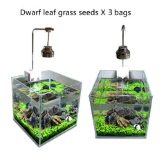 MISUHALOU aquarium grass plant coverage 12x12 illustrates ample fill for tanks.