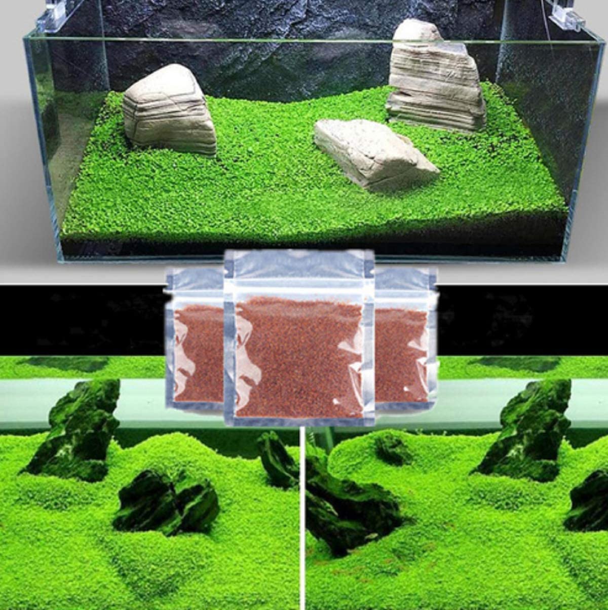 MISUHALOU aquarium grass plant pack cover showing ready-to-use starter for a lush fish tank.