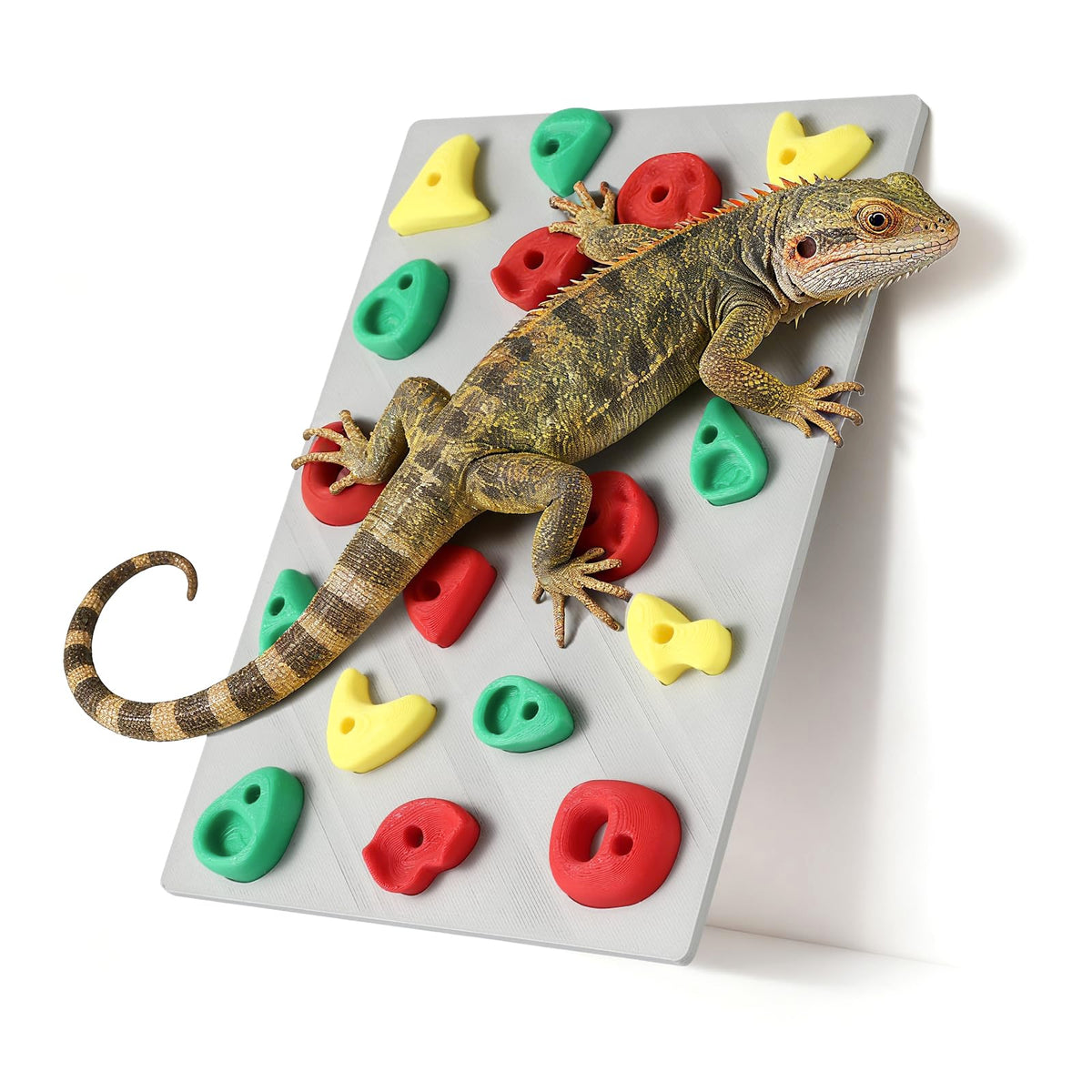 MITCHENIFY climbing wall in reptile tank setup enhances natural climbing and enrichment.