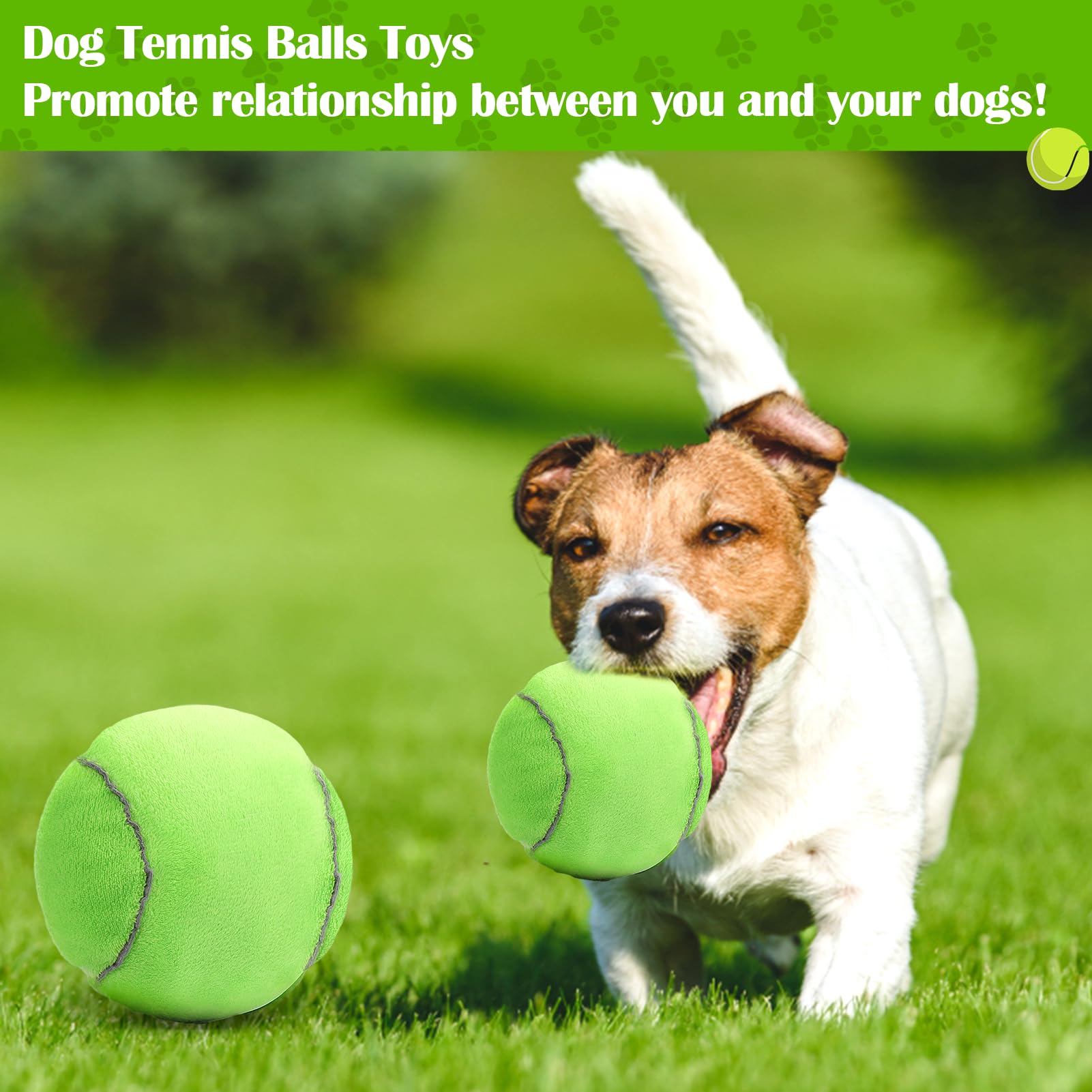 Miti Rain dog toy keeps dogs busy for extended exercise and fun.