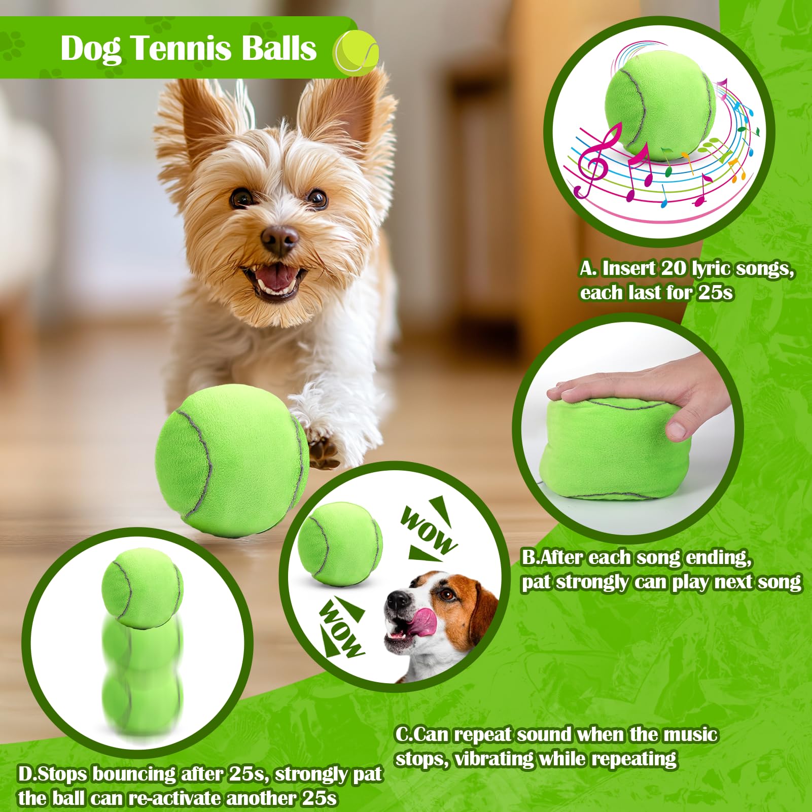 Miti Rain interactive ball with pop songs entertains and stimulates dogs.