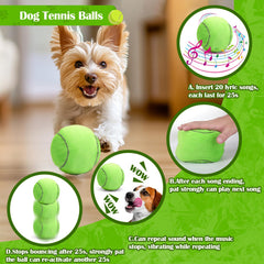 Miti Rain interactive ball with pop songs entertains and stimulates dogs.