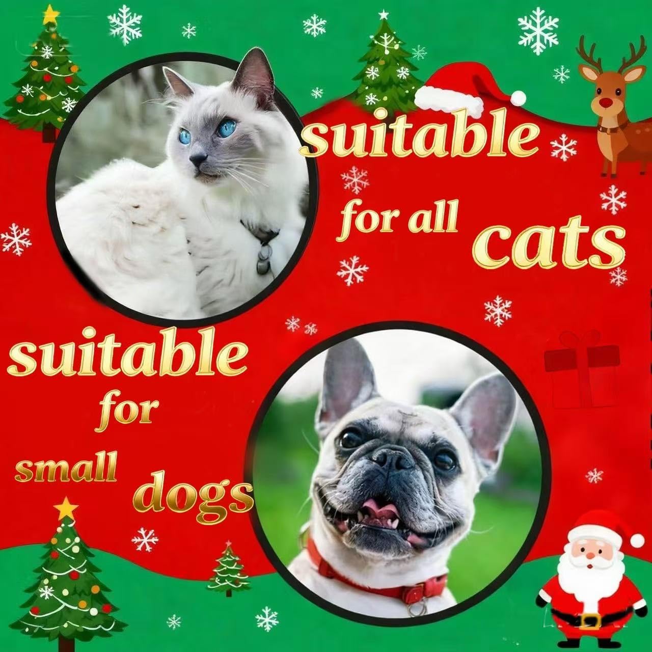 MITOCAPY lightweight pet costume enables easy movement during events.
