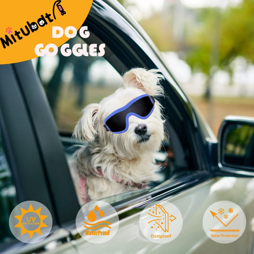 Mitubati dog goggles shield small dogs from bright sun and wind.