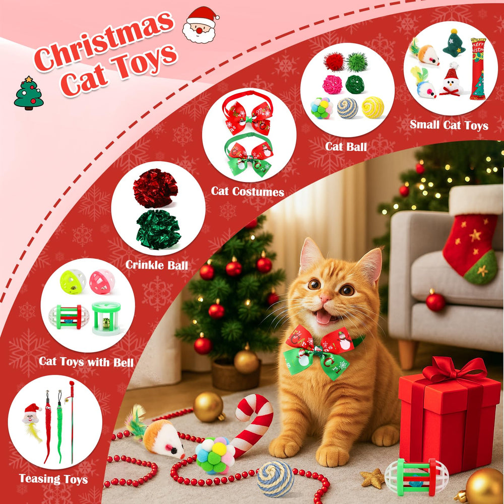 Mity rain Cat Advent Calendar 2025 day 2 bell toy invites curious indoor pounces