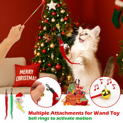 Mity rain Cat Advent Calendar 2025 day 4 catnip toy encourages playful sniffing