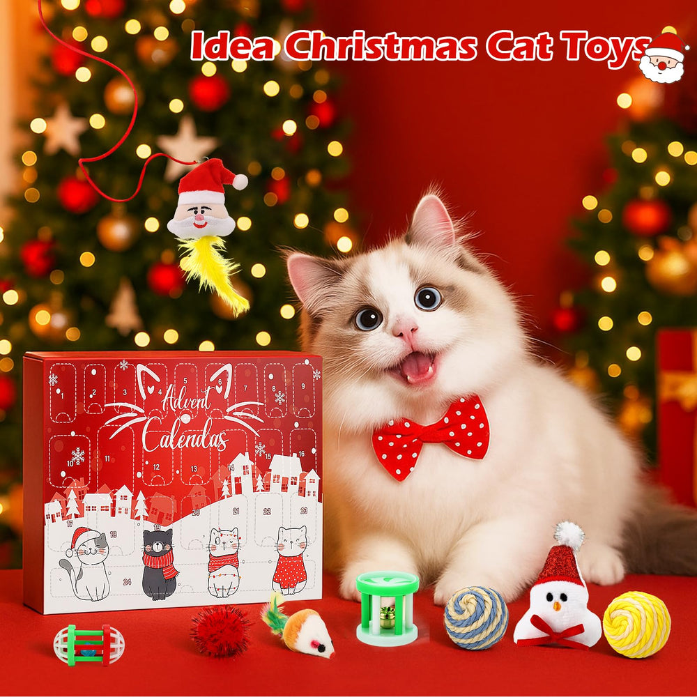 Mity rain Cat Advent Calendar 2025 day 5 feather toy provides engaging swats and flutter