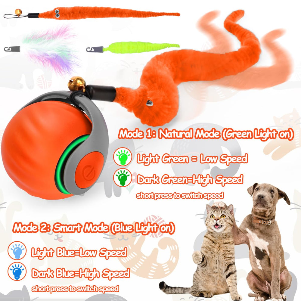 Mity Rain orange cat ball with smart mode indicator demonstrates extended play potential.